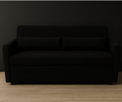 2503 - 2 Seater Sofa Bed