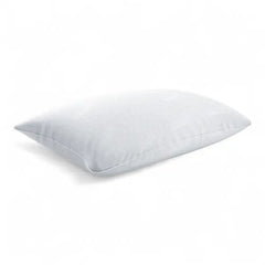 Pillows Regular - Pack of 2 - 25 $ Each