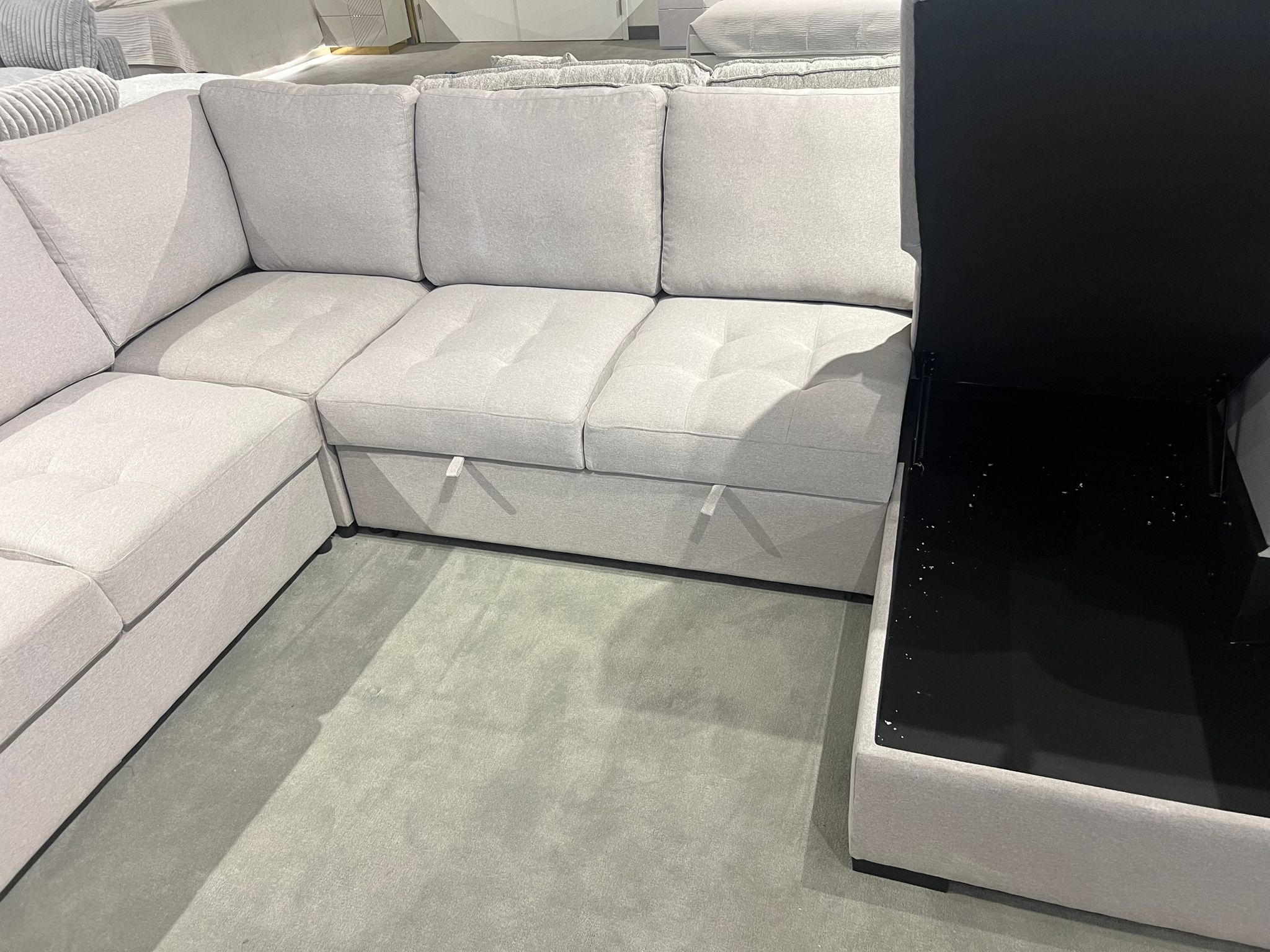 Xander Pull Out Sectional Sofa